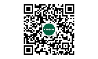 绿色氨装置供应商