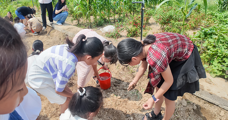 管家婆十码三期必出 green sowing activity
